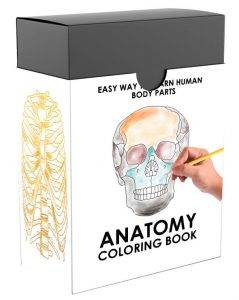 Anatomy Coloring Book - PlrHero.com