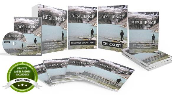Resilience - PlrHero.com