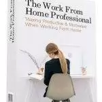 The Work From Home Professional