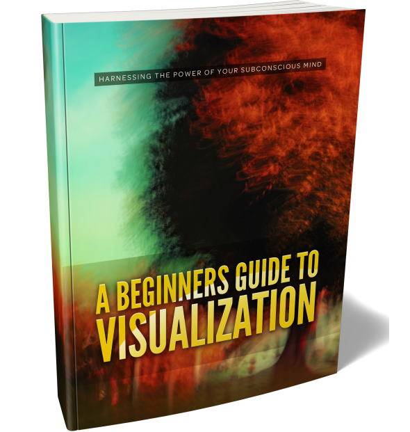 A Beginners Guide To Visualization PLR