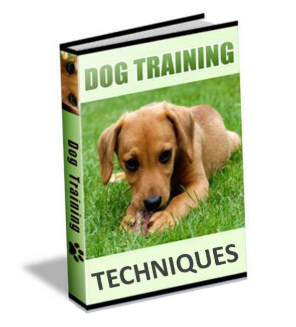 Dog Training Techniques PLR